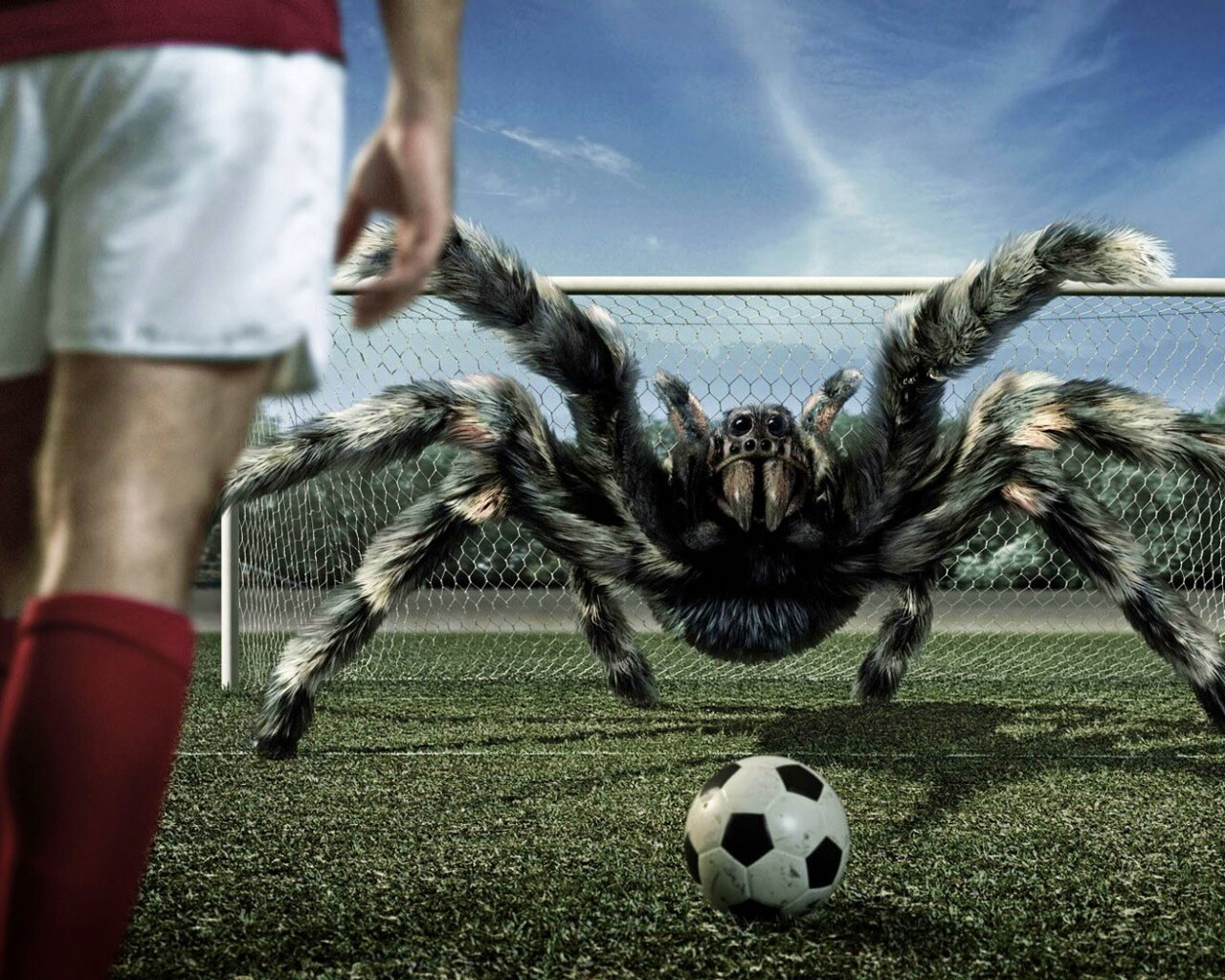 Вратарь обои