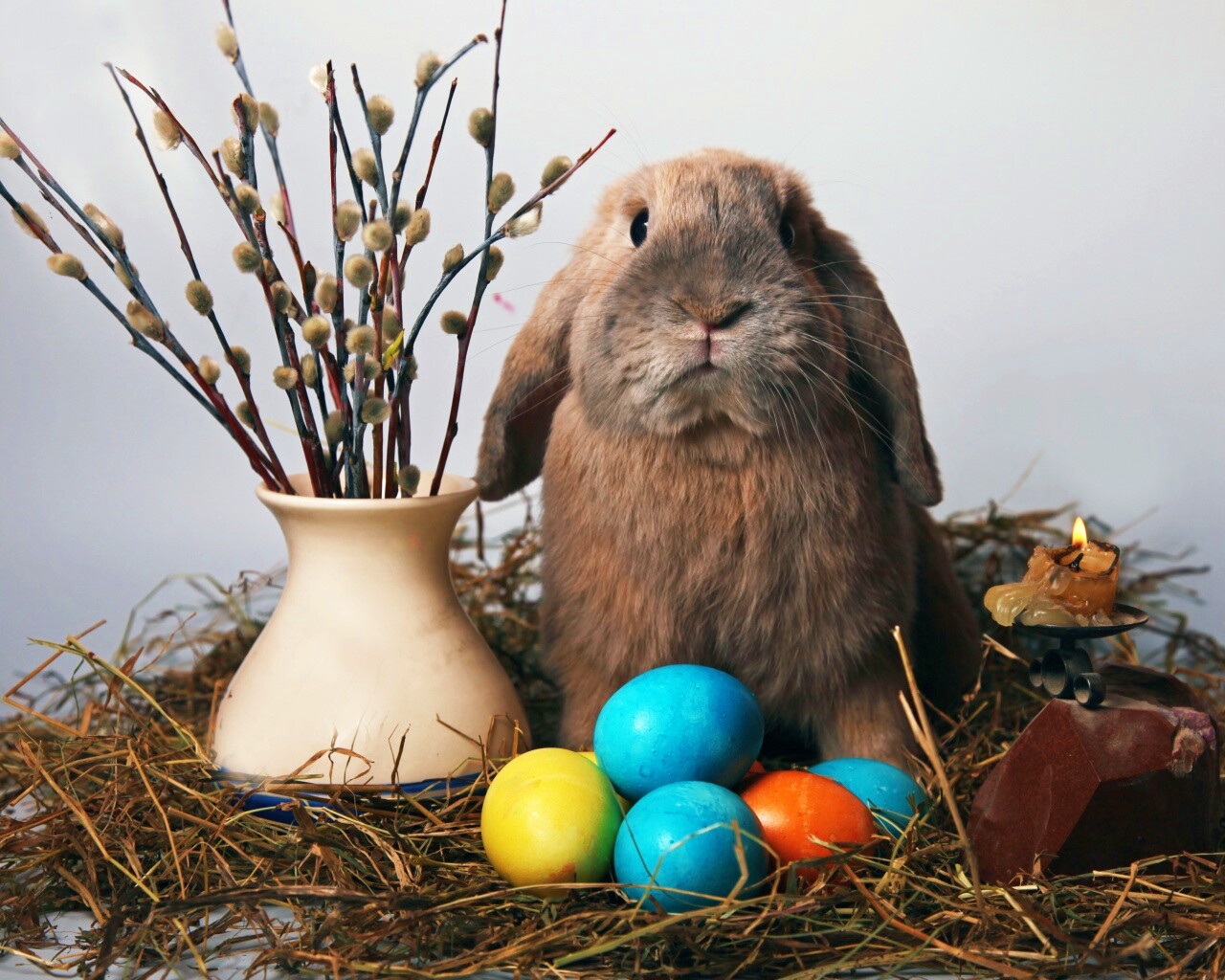 Пасхальный кролик обои