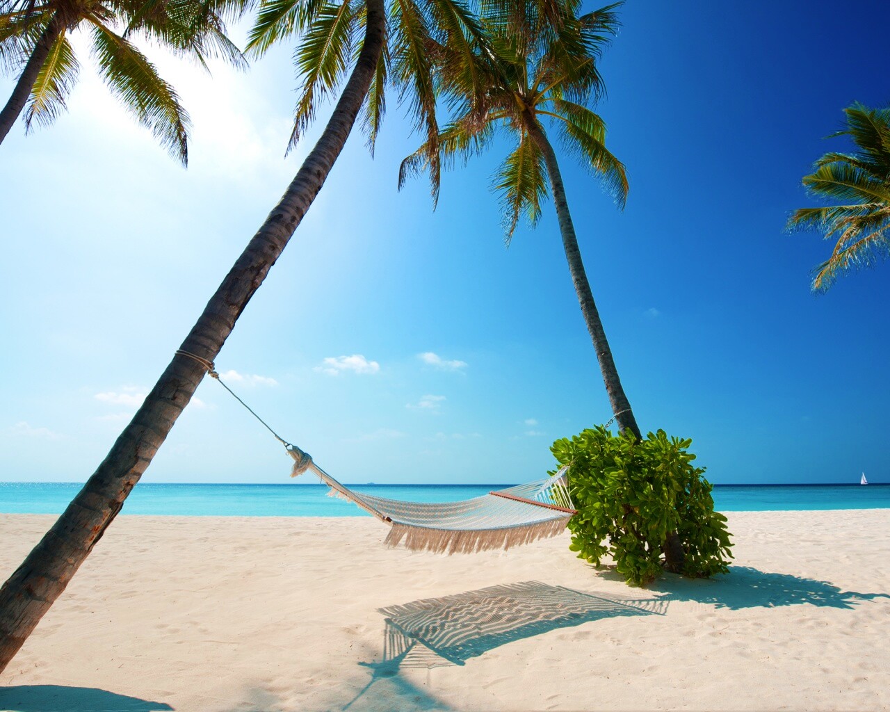 Тропический рай обои