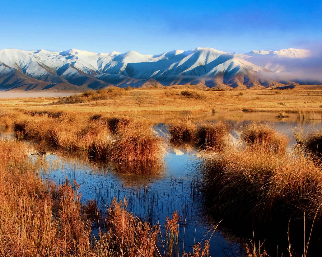 Болото и снежные горы обои