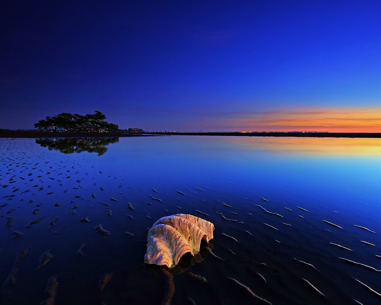 Закат на берегу моря обои