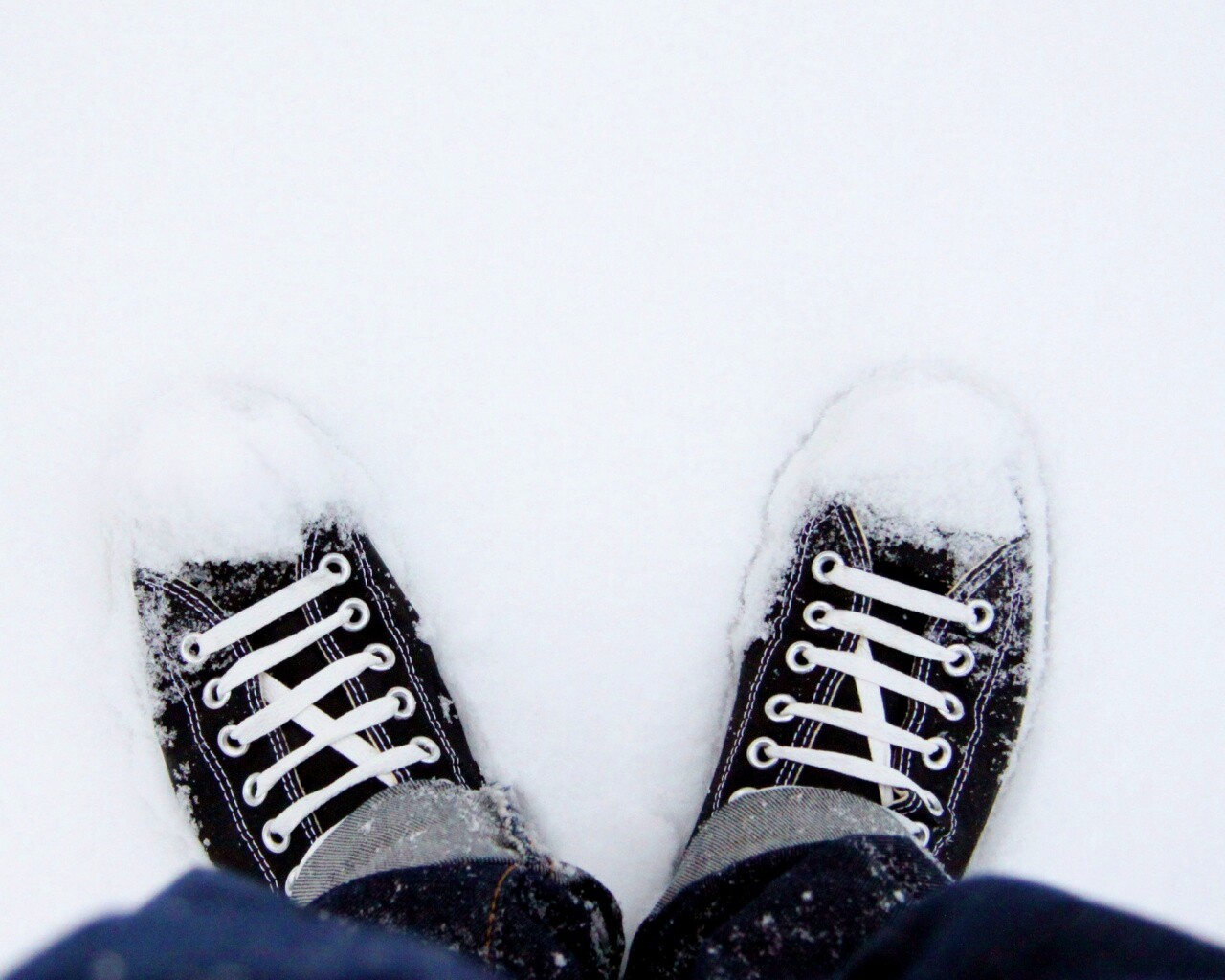 Дурак зимой в кедах обои