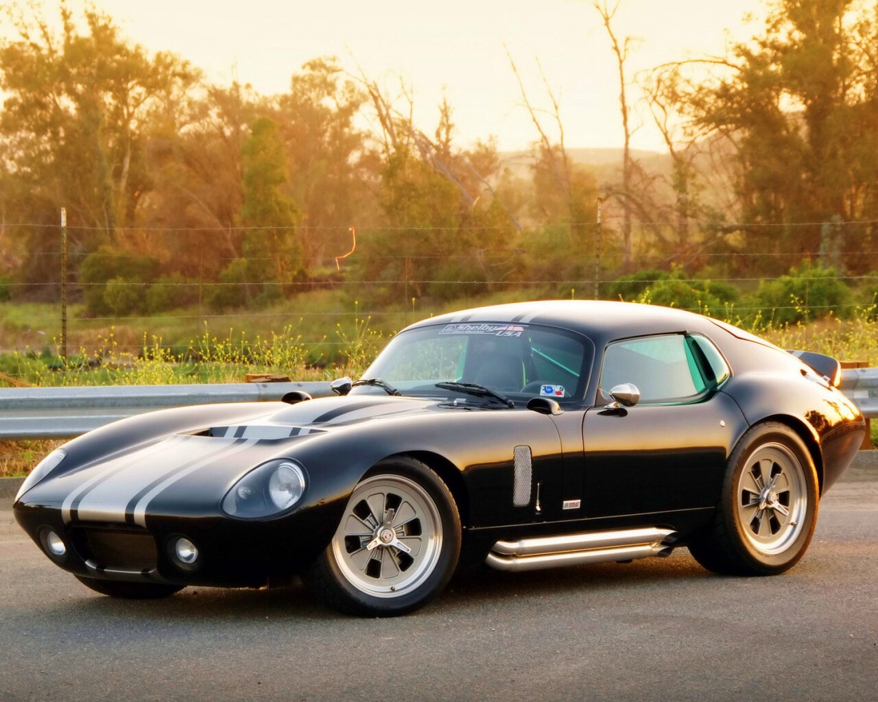 Shelby Daytona обои