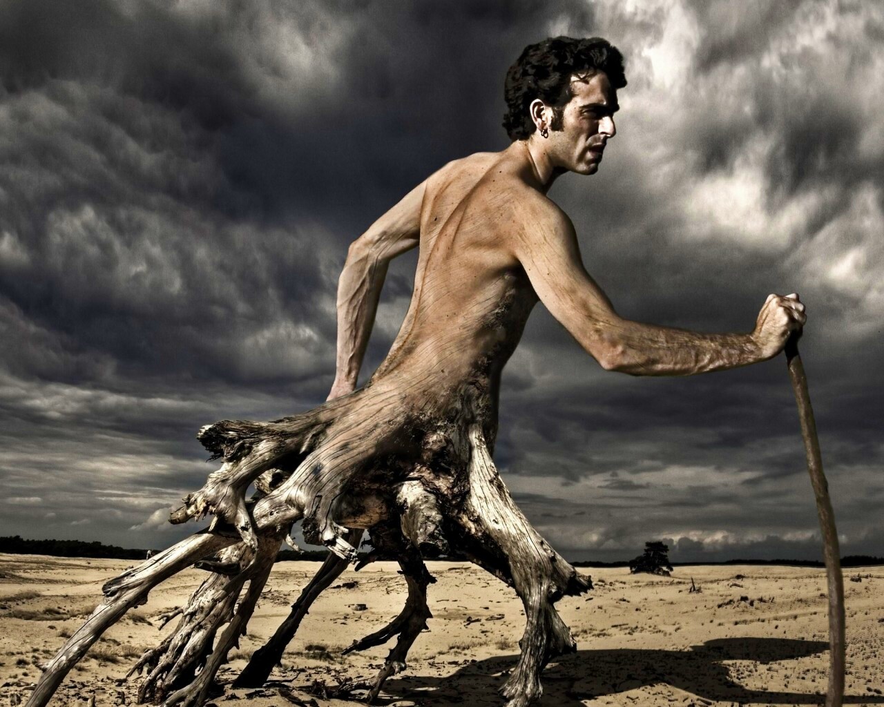 Буратино Начало обои