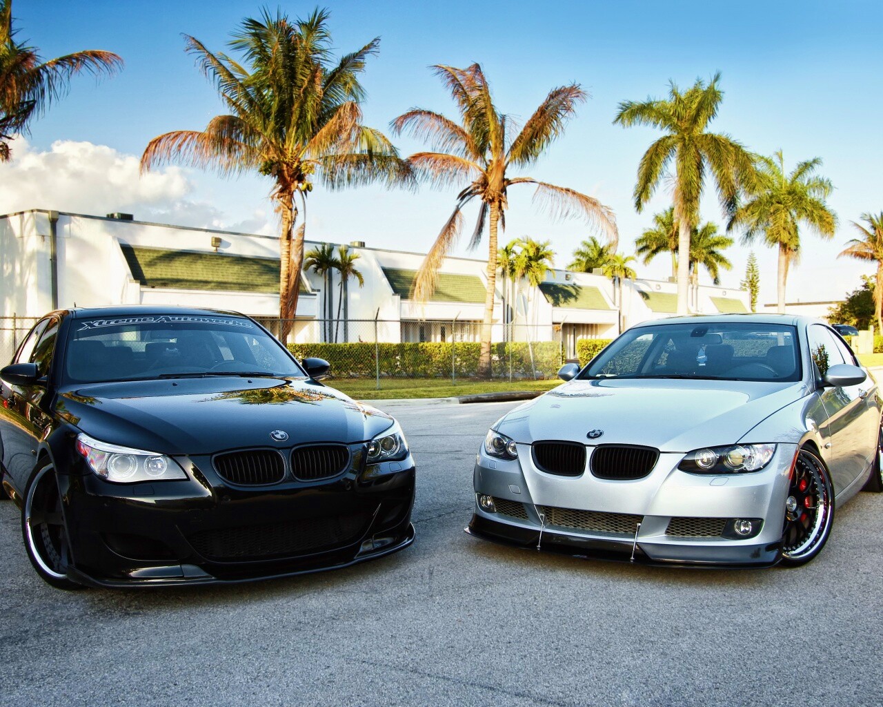 Две БМВ обои