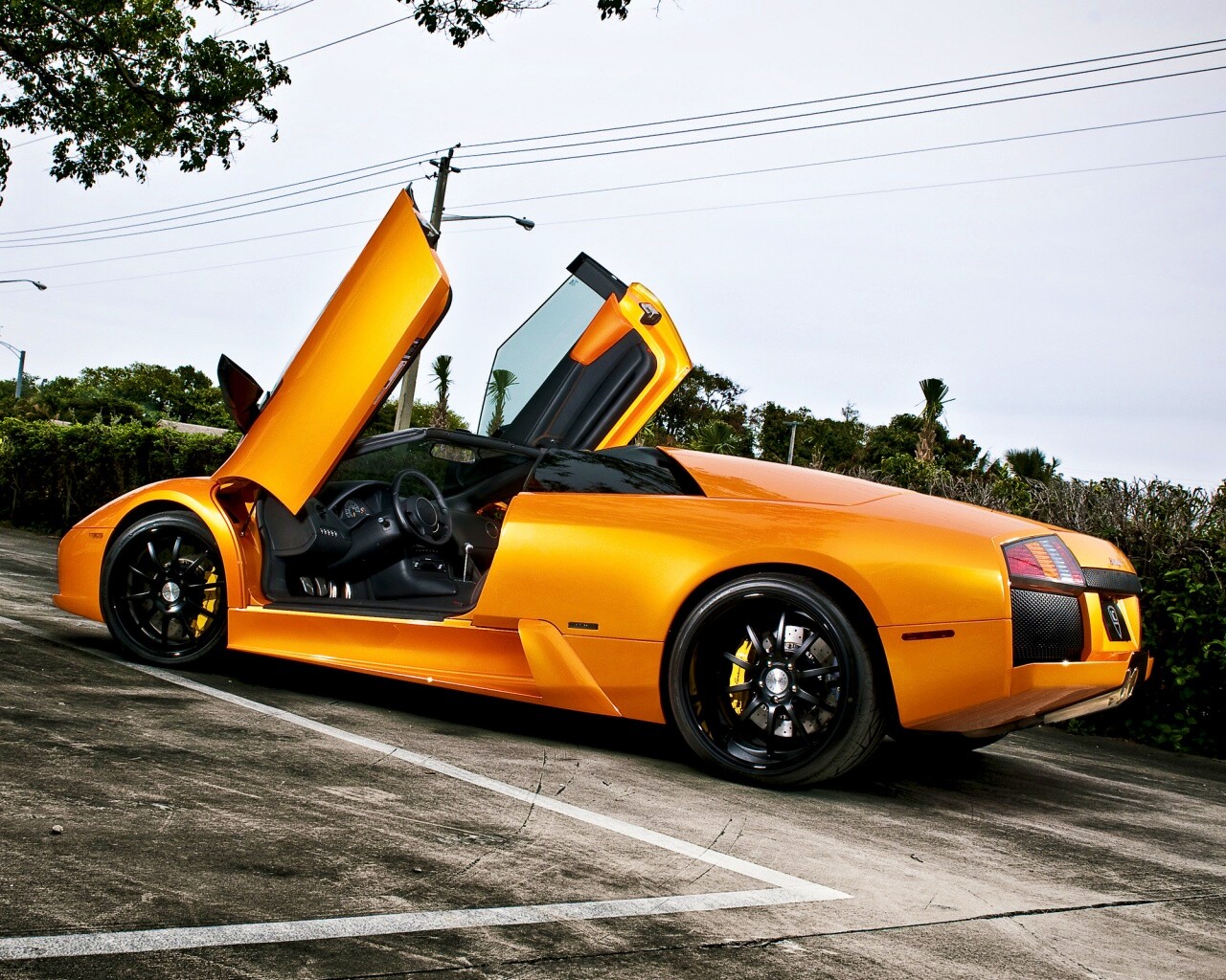 Lamborghini обои