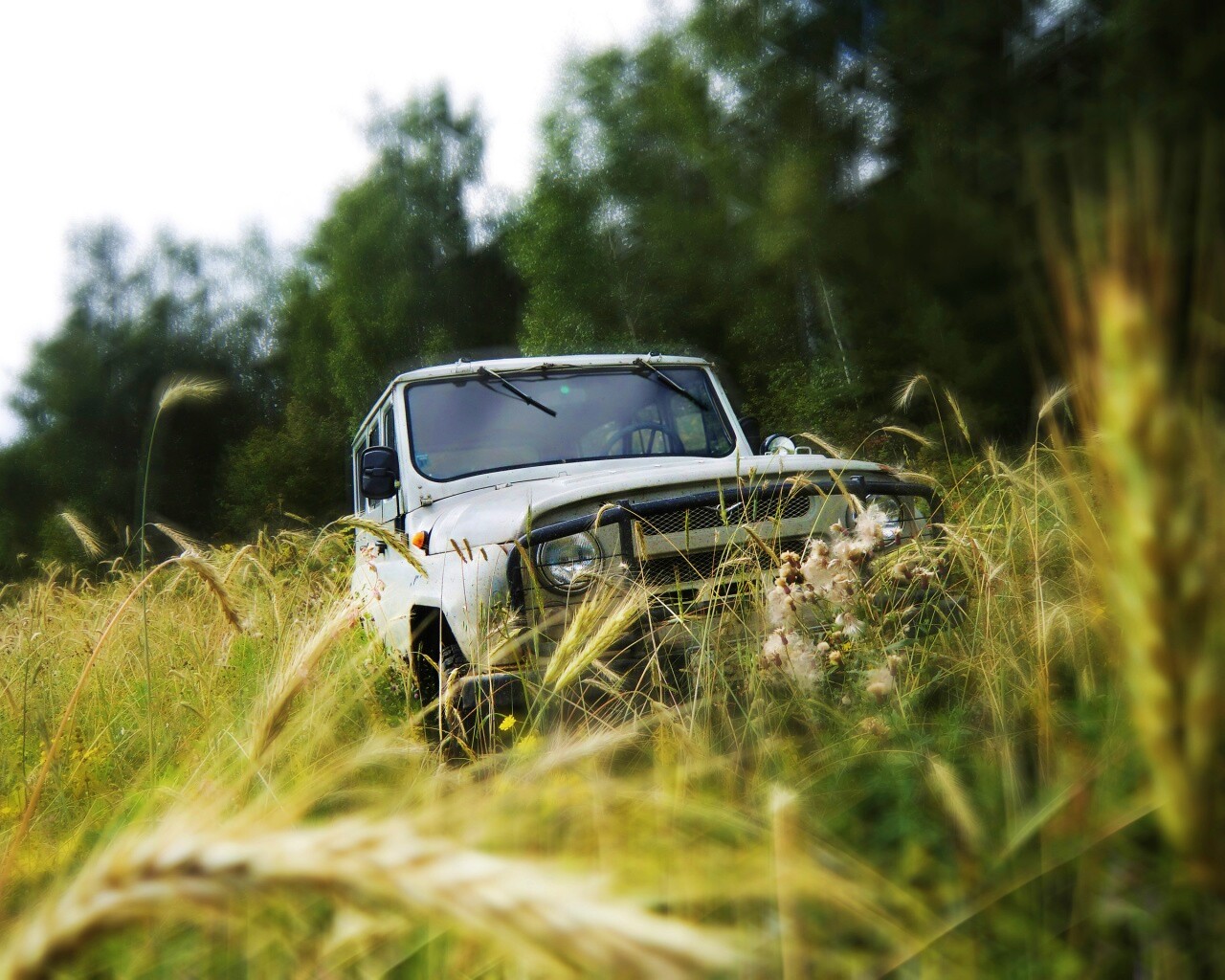 УАЗик в траве обои