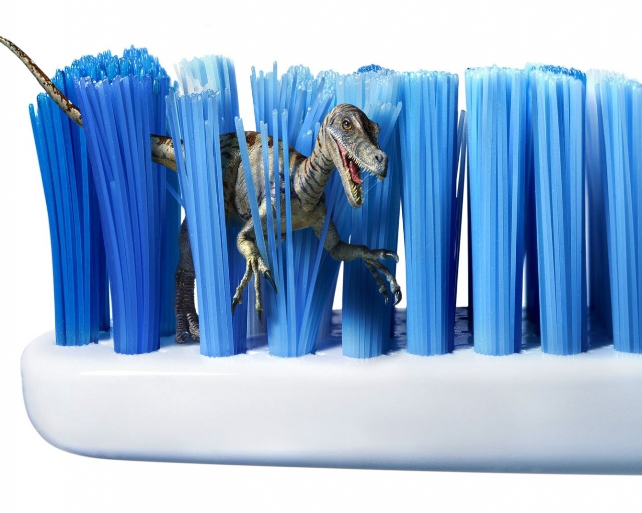 Кариозные монстры снова в деле обои