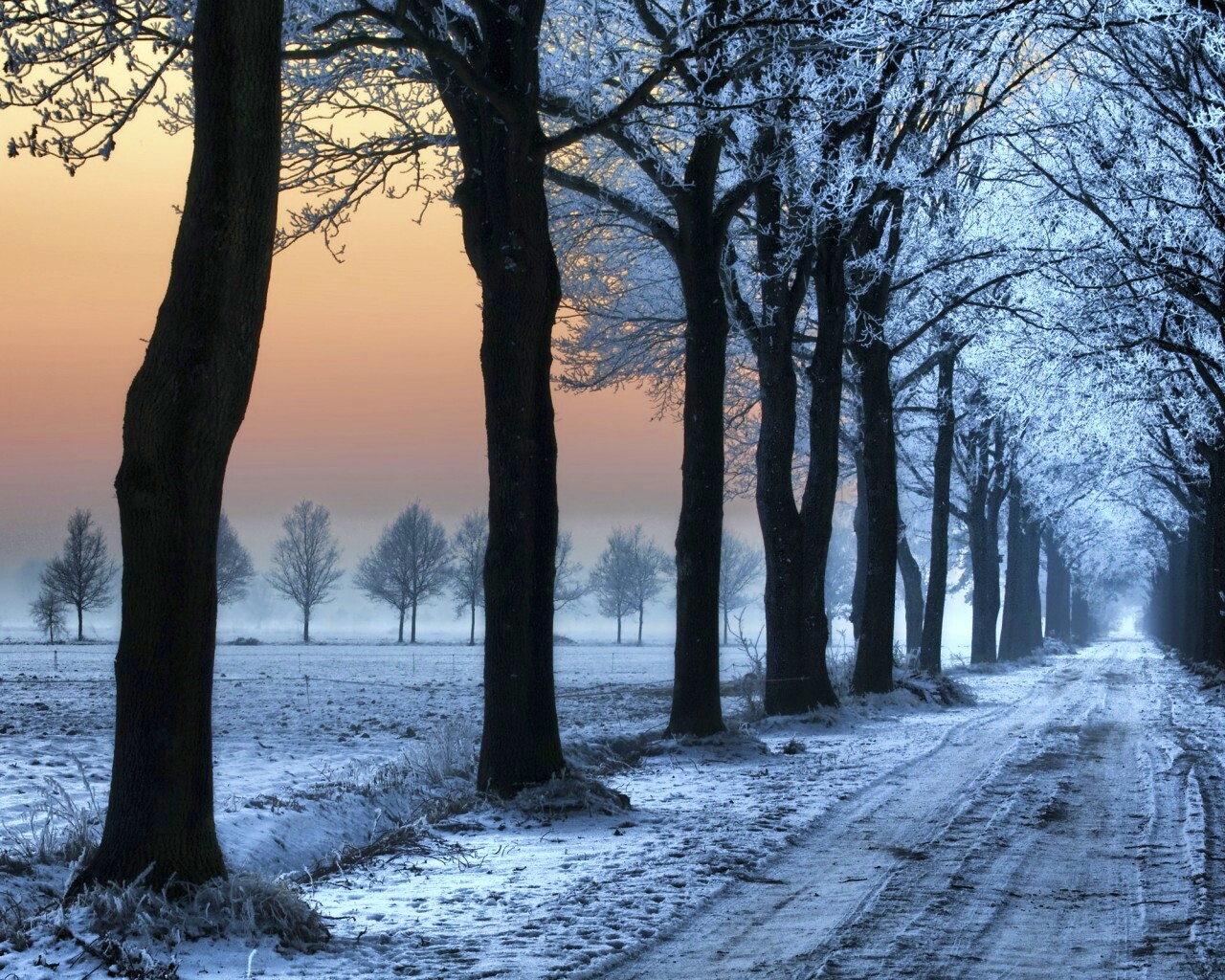 Морозное утро обои