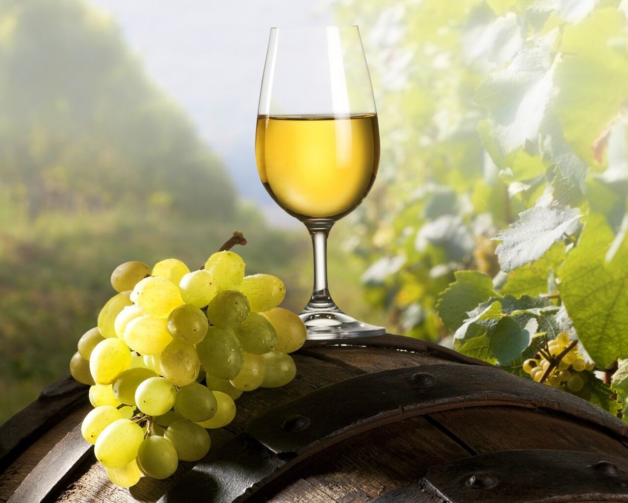 Винная бочка и бокал с белым вином обои