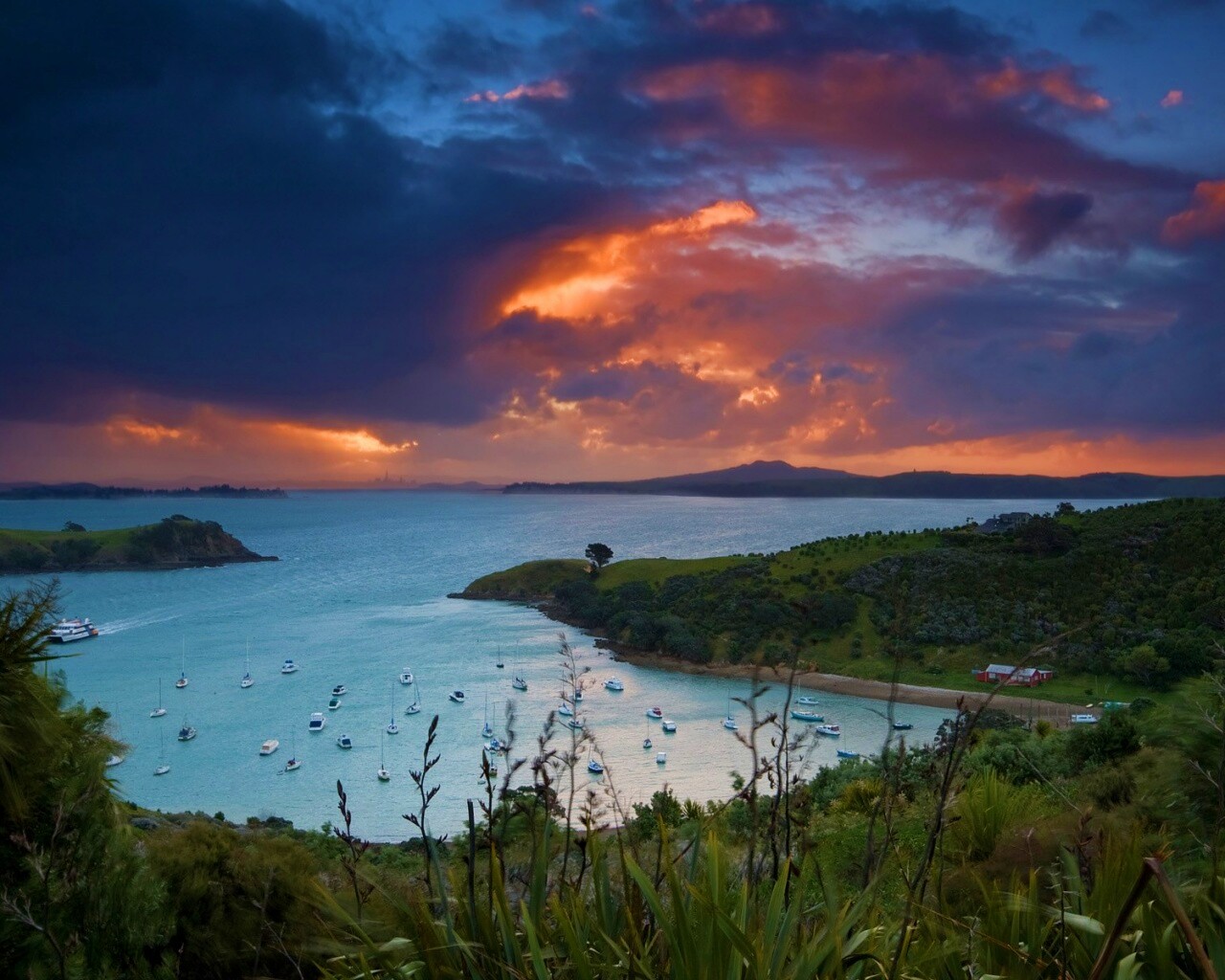 Waiheke Island, New Zealand обои