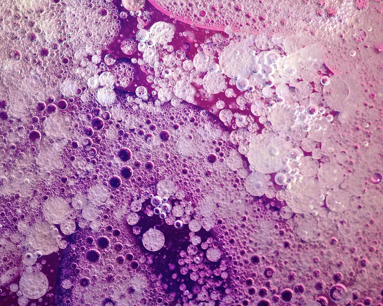 Реакция Вассермана в фиолетовых тонах обои