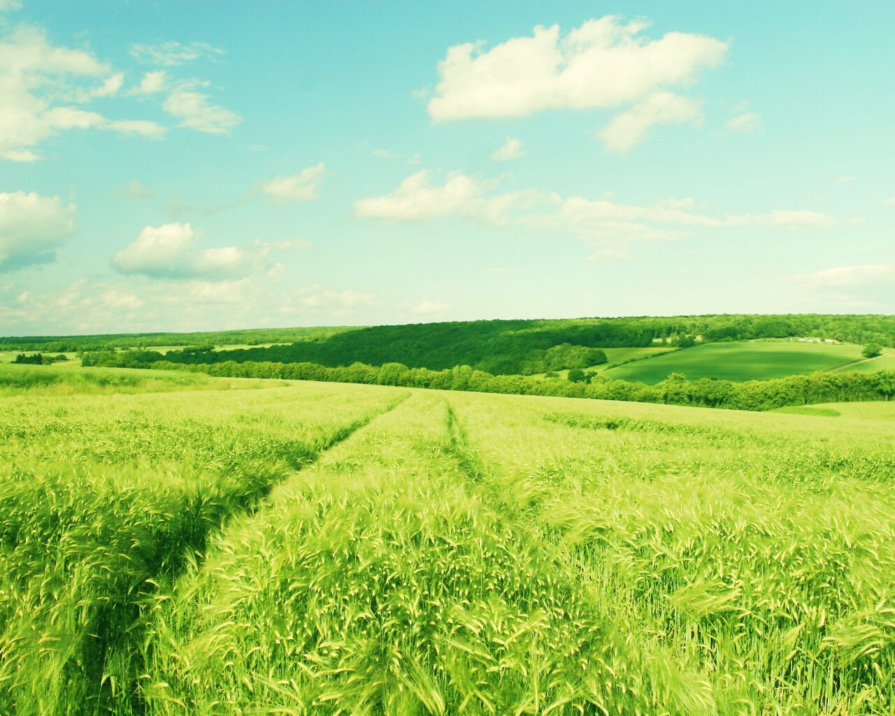 Бескрайние просторы обои