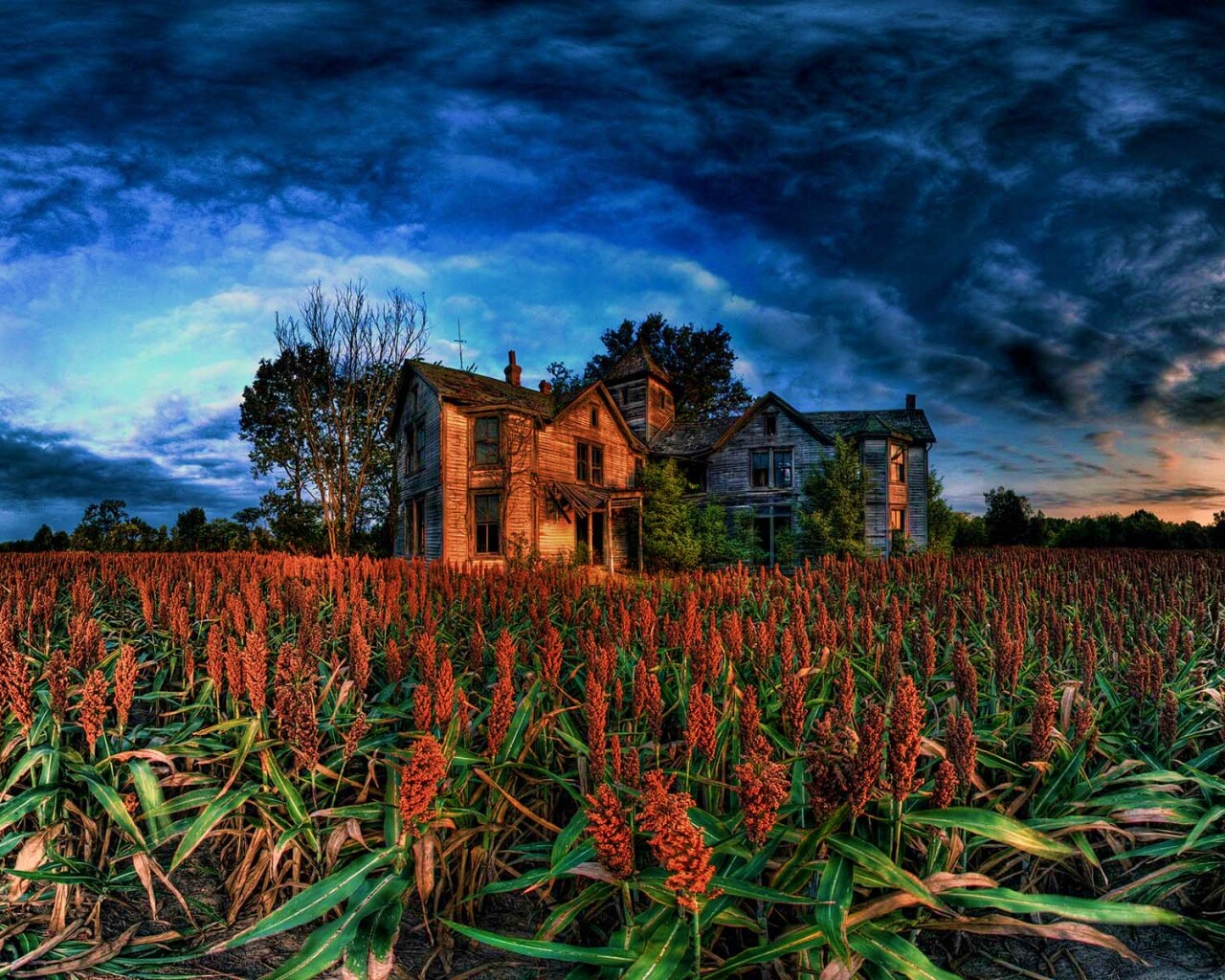 Заброшенный дом  обои