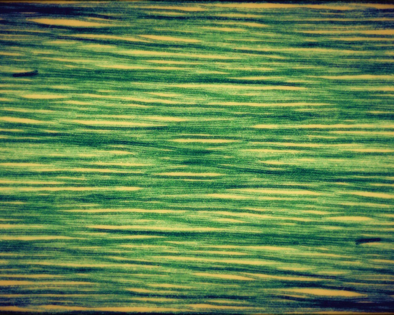 Обои для Mac Book обои