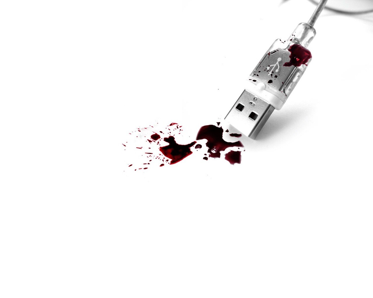 Кровавый usb обои