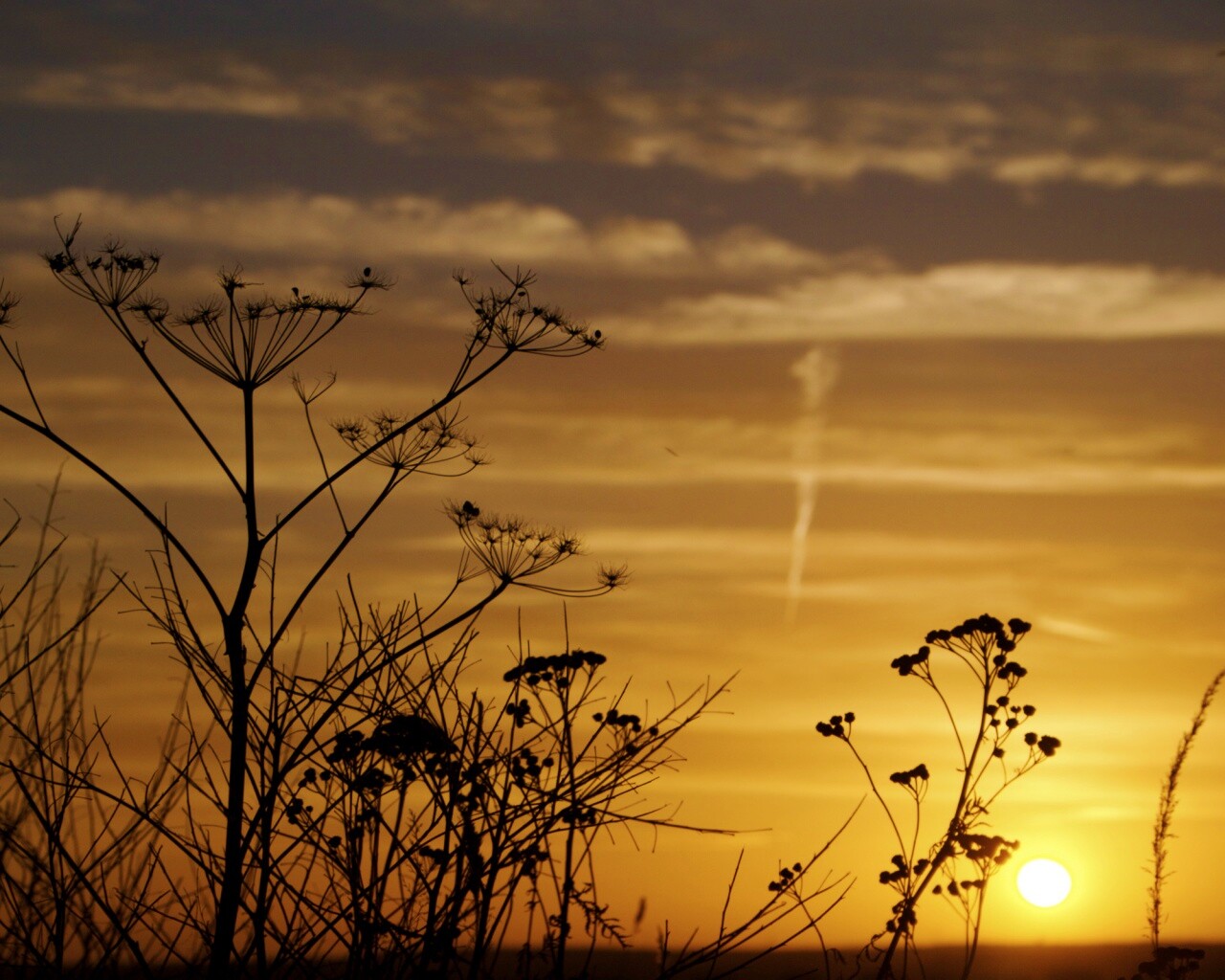 Степной закат обои