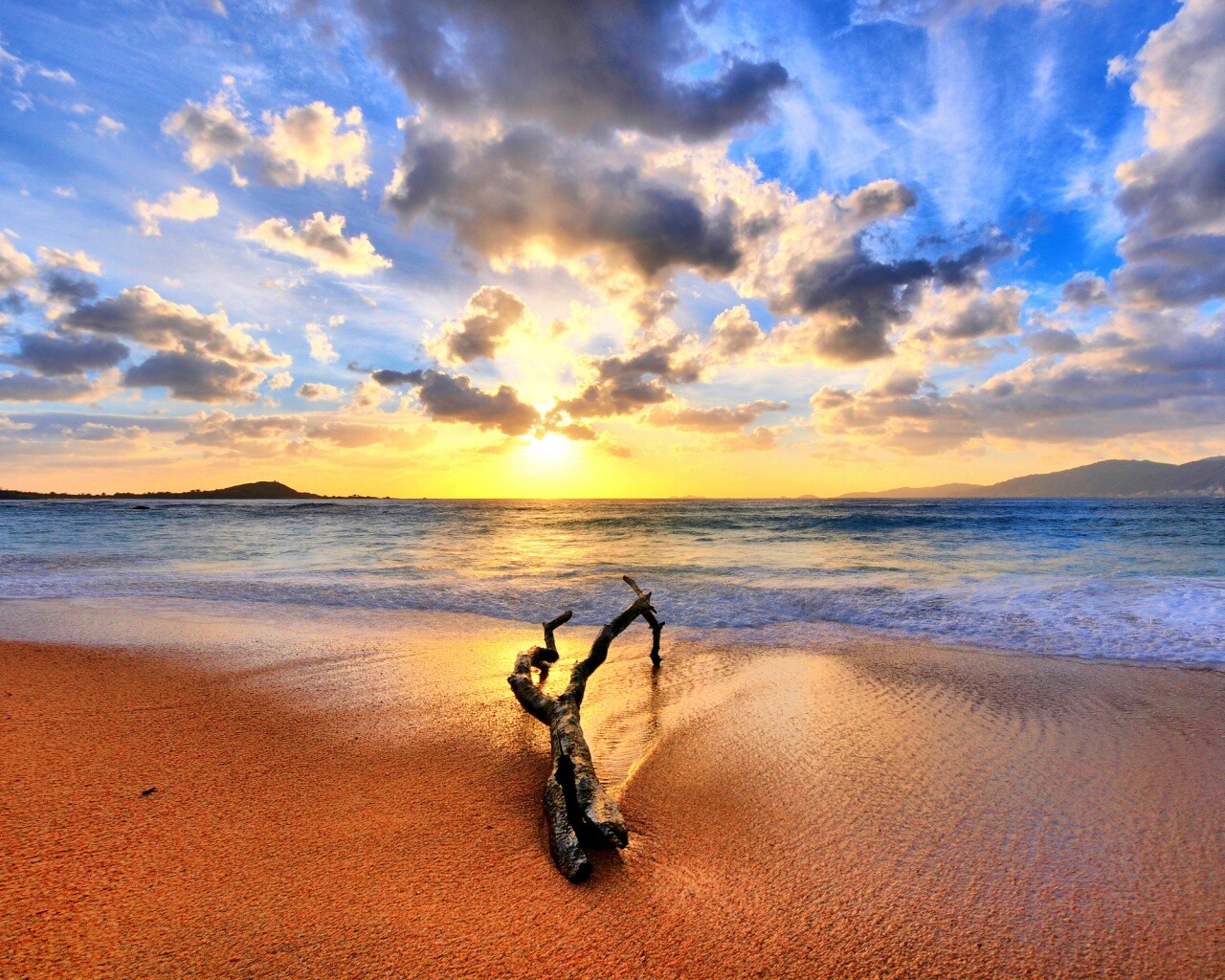 Коряга на пляже обои