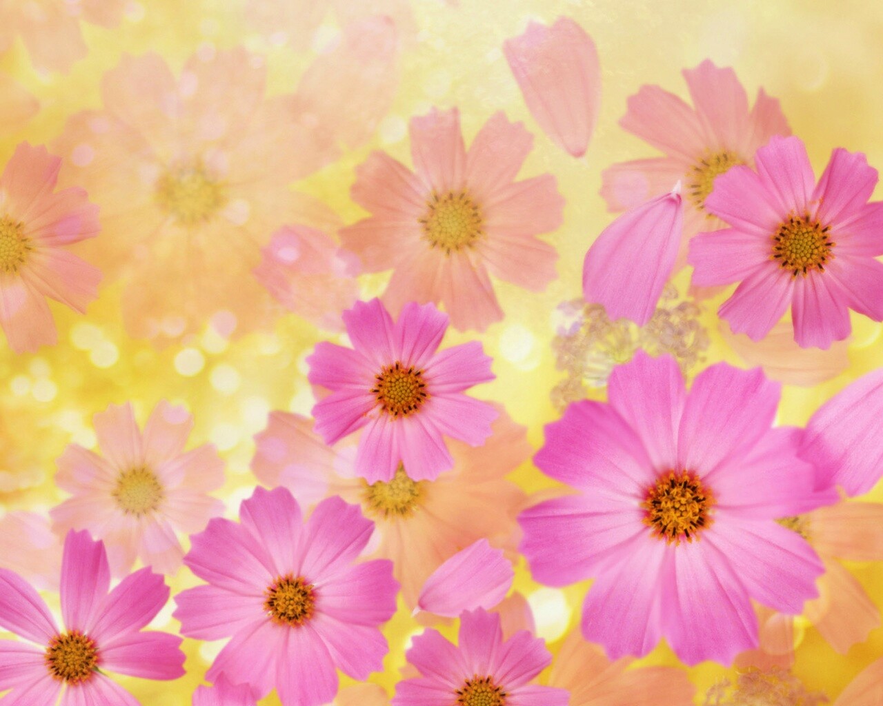 Цветочки обои