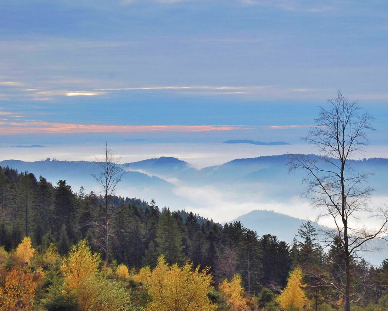 Холмы в тумане обои