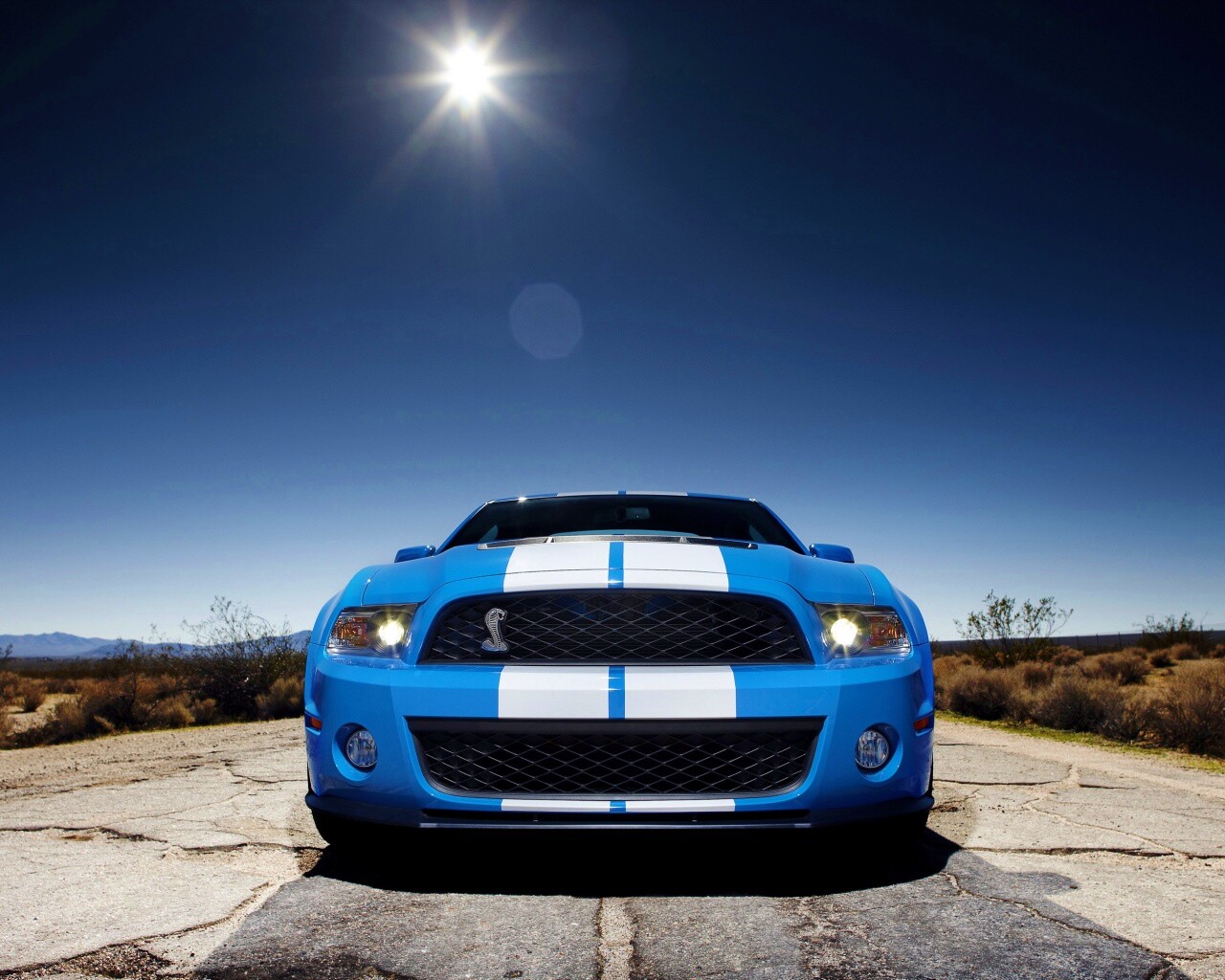 Форд Шелби обои