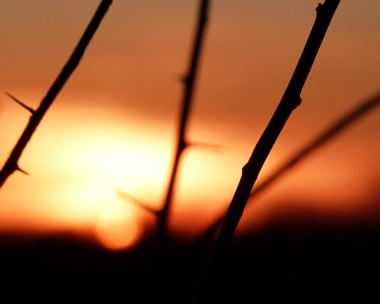 Закат солнца в поле обои