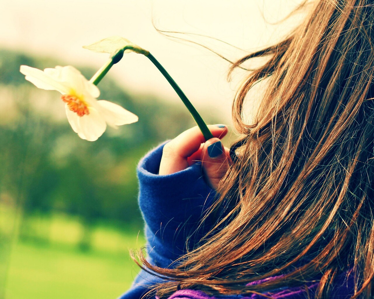 Девушка с нарциссом в руке обои