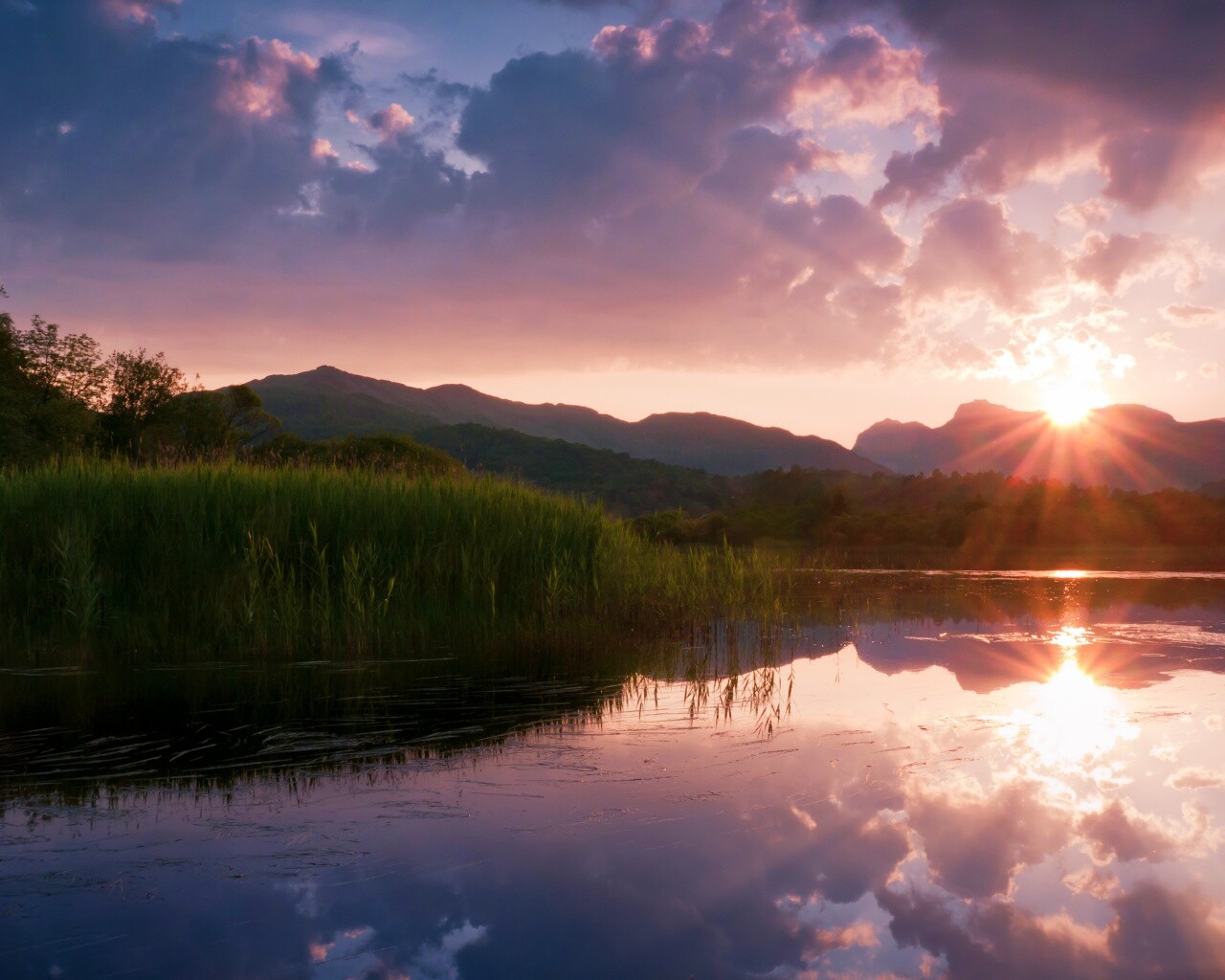 Закат за лесом обои