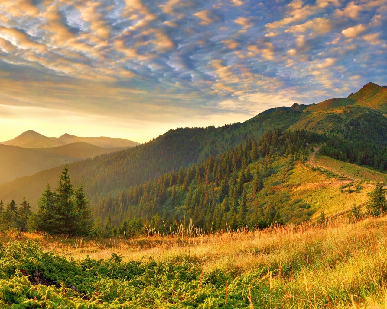 Предгорье обои