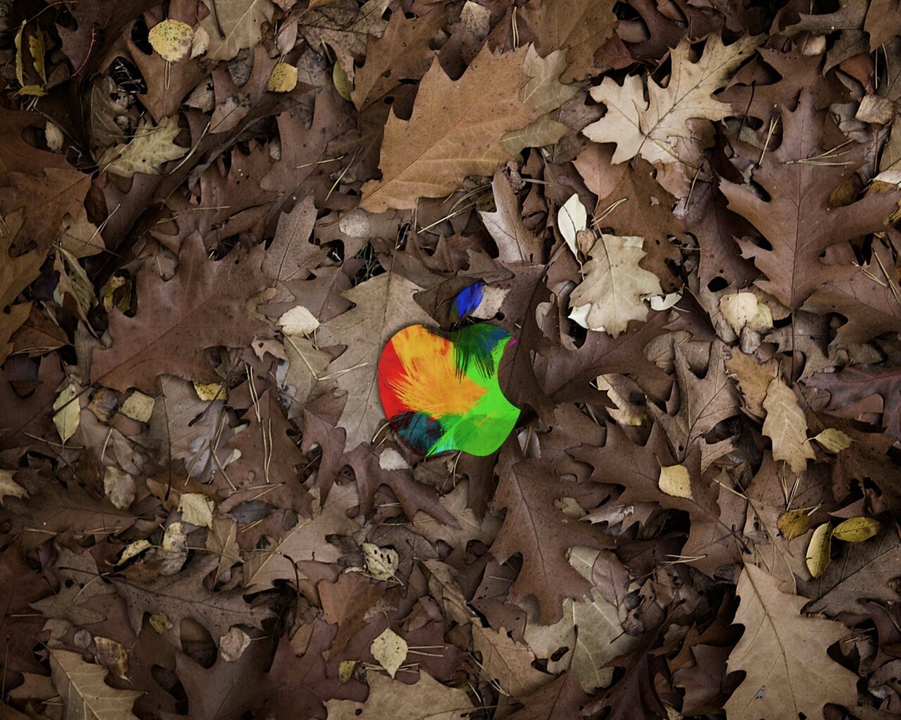 Яблоко в листьях обои