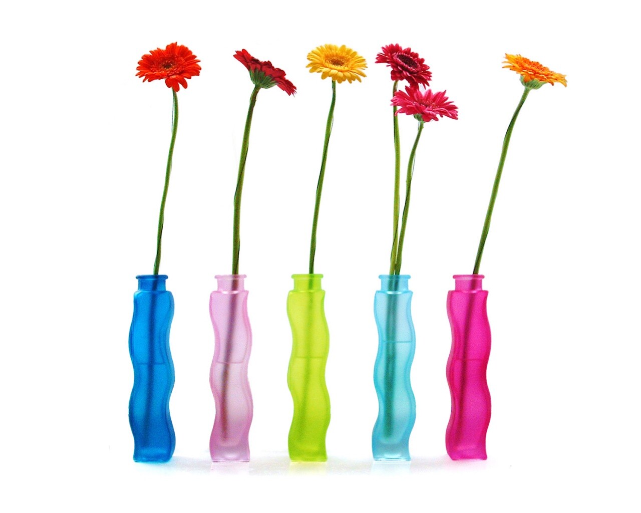 Герберы в изогнутых вазах обои