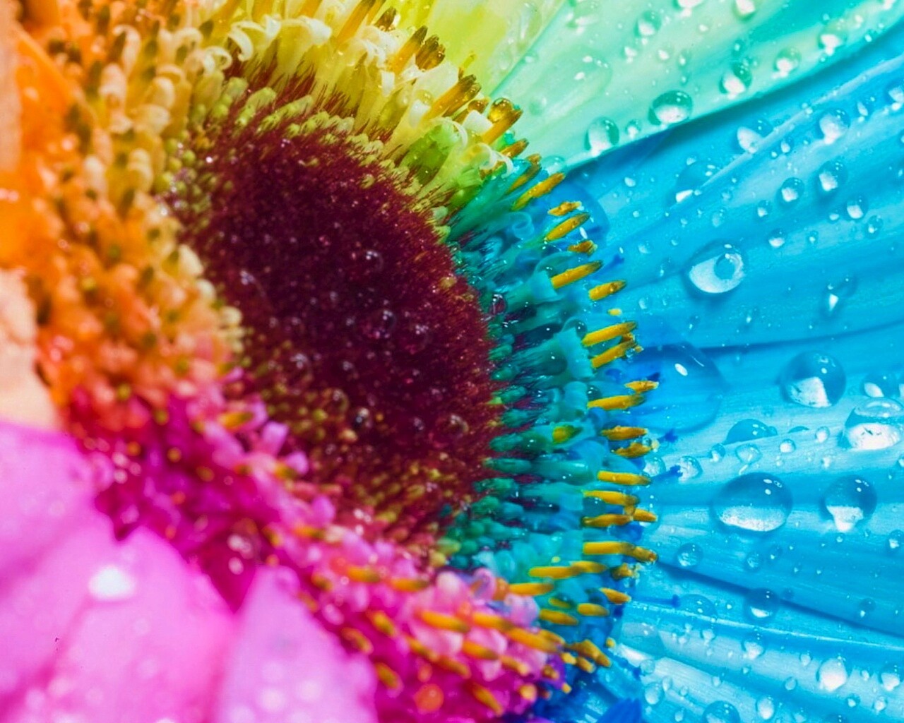 Цветик семицветик обои