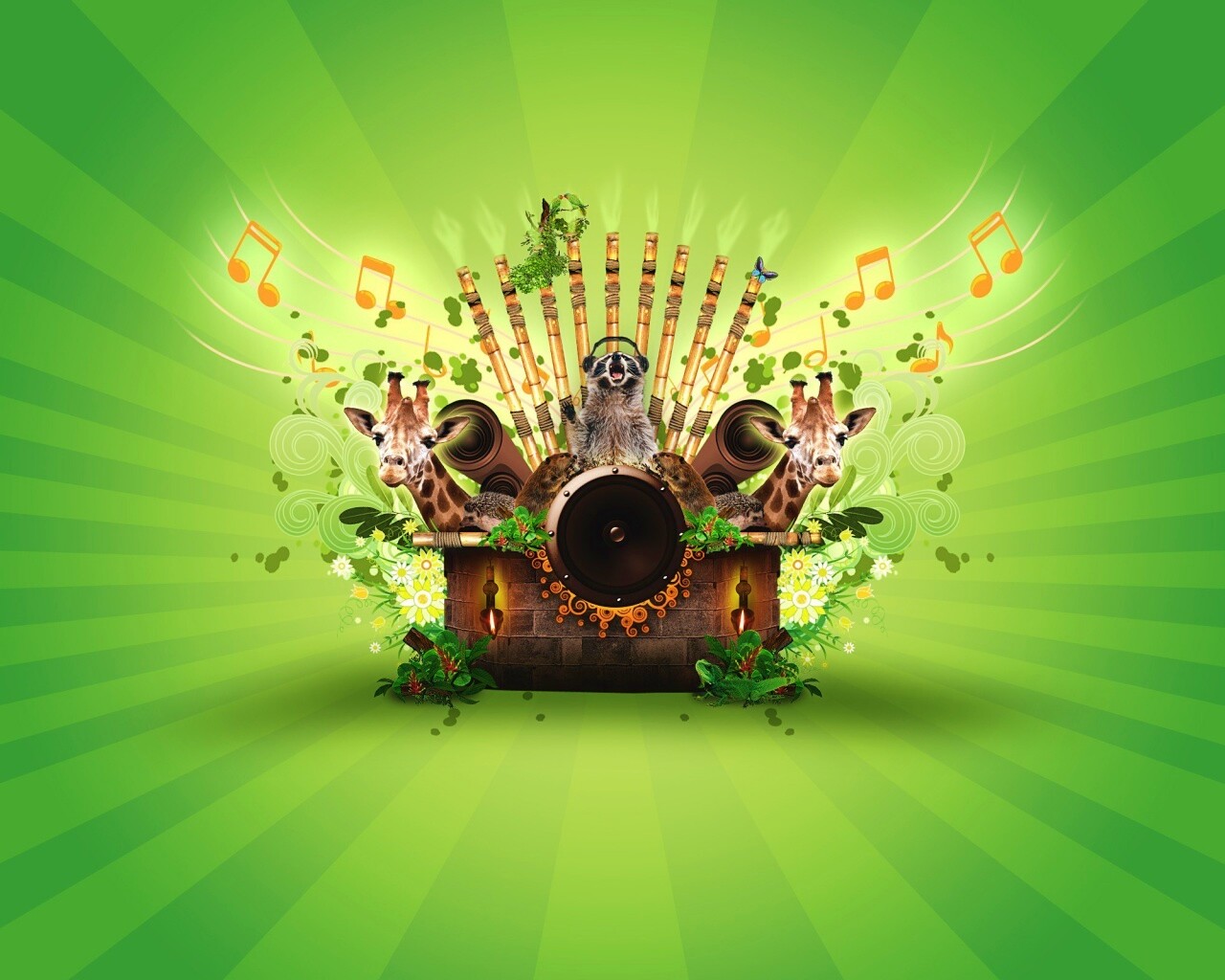 Музыка джунглей обои