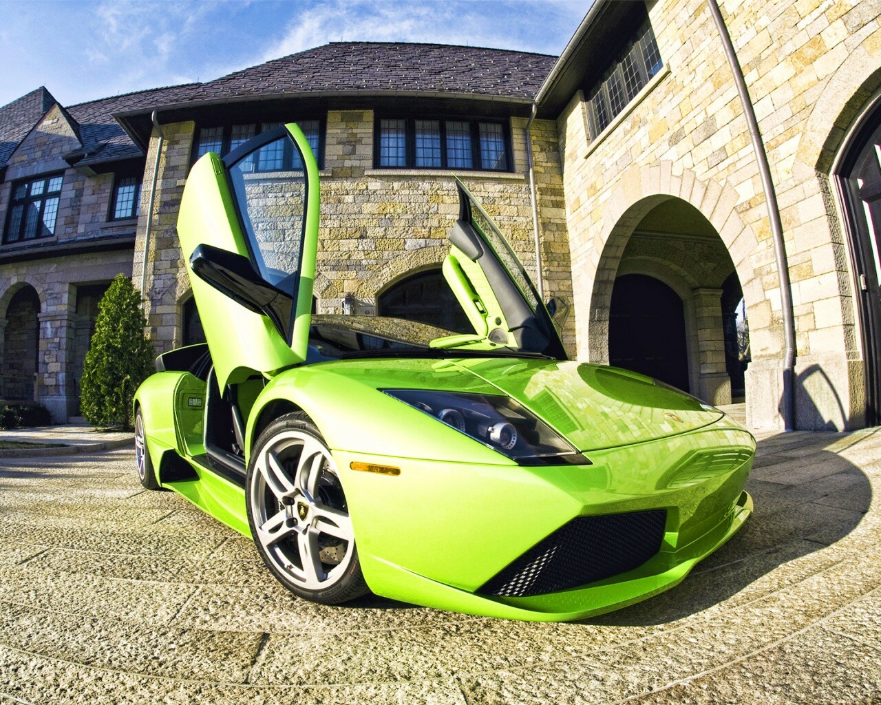 Зеленая ламба обои