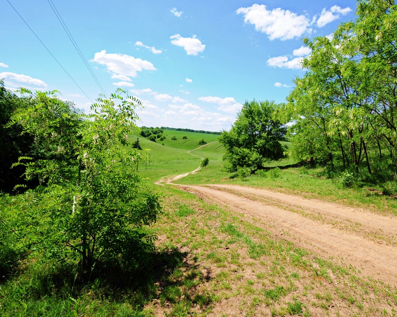 Просёлочная дорога обои