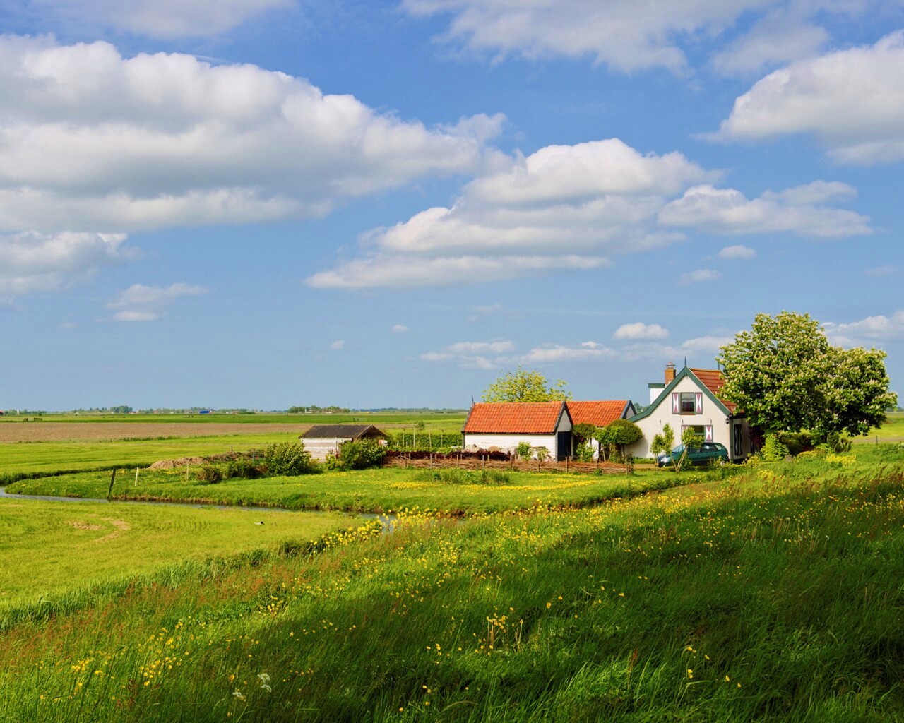 дом на лугу обои