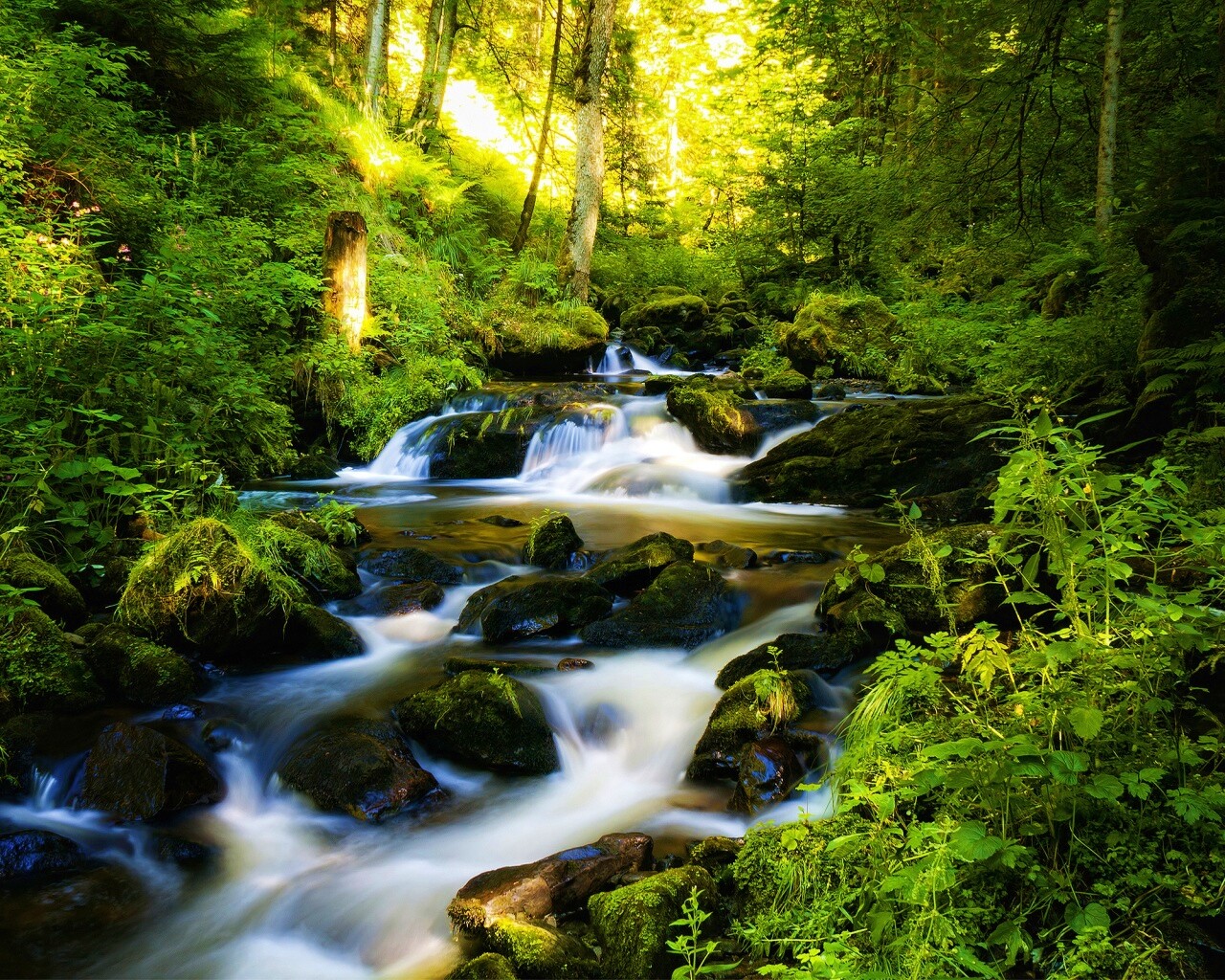 Живописный лесной водопад обои