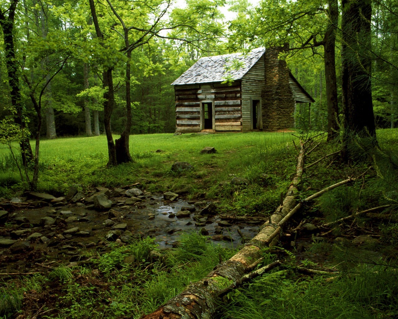 Домик в лесу обои
