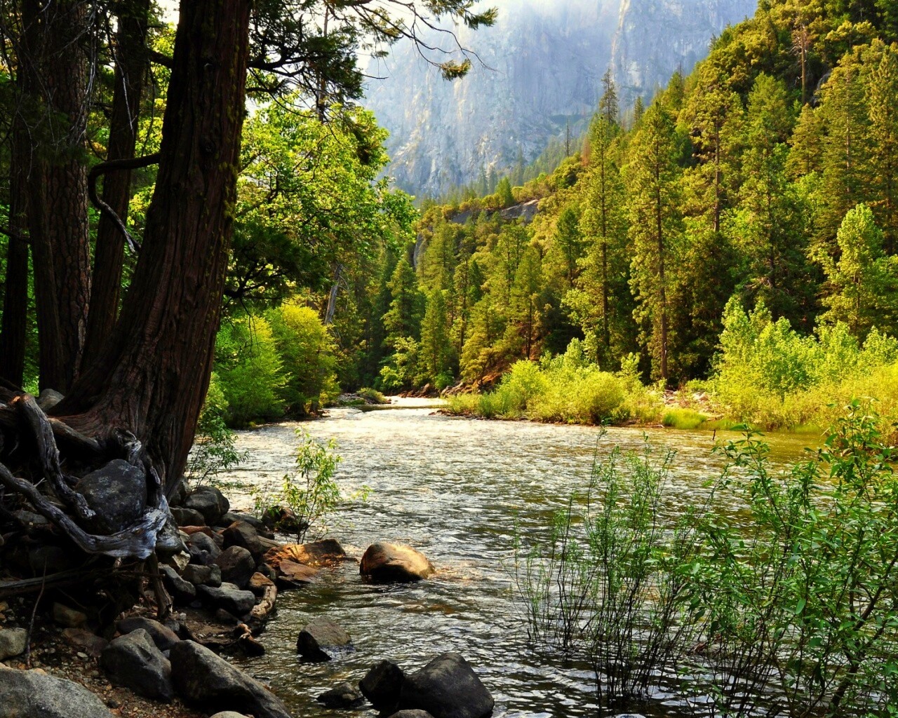 Национальный заповедник обои