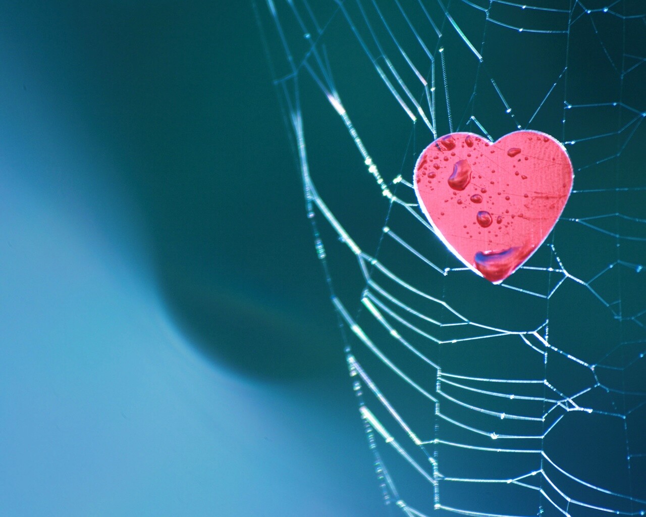 Сердце в паутине обои