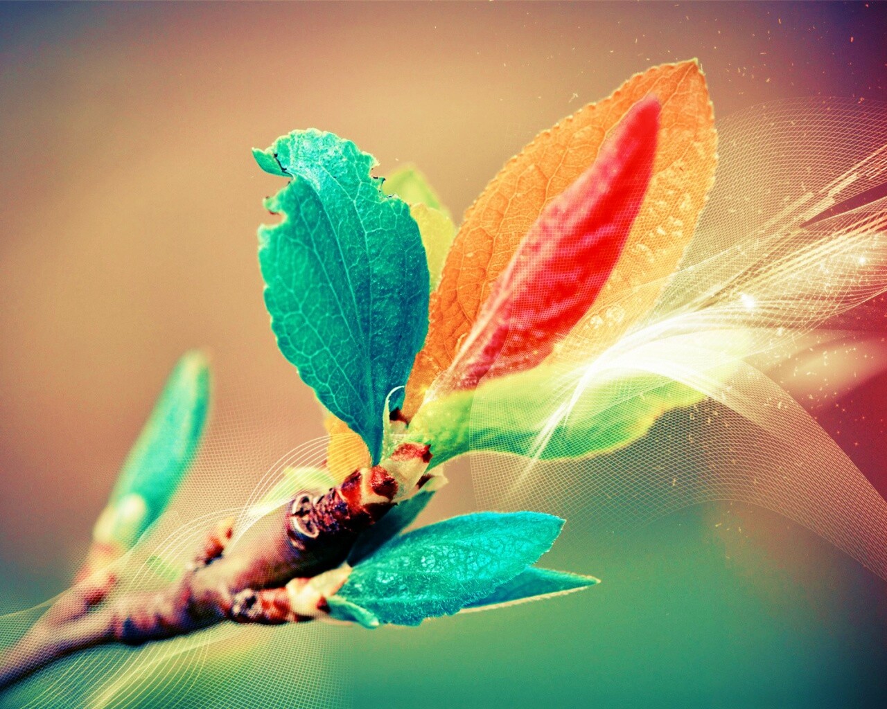 Разноцветные листья обои