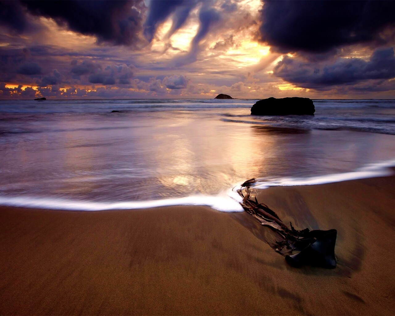 Коряга на пляже обои