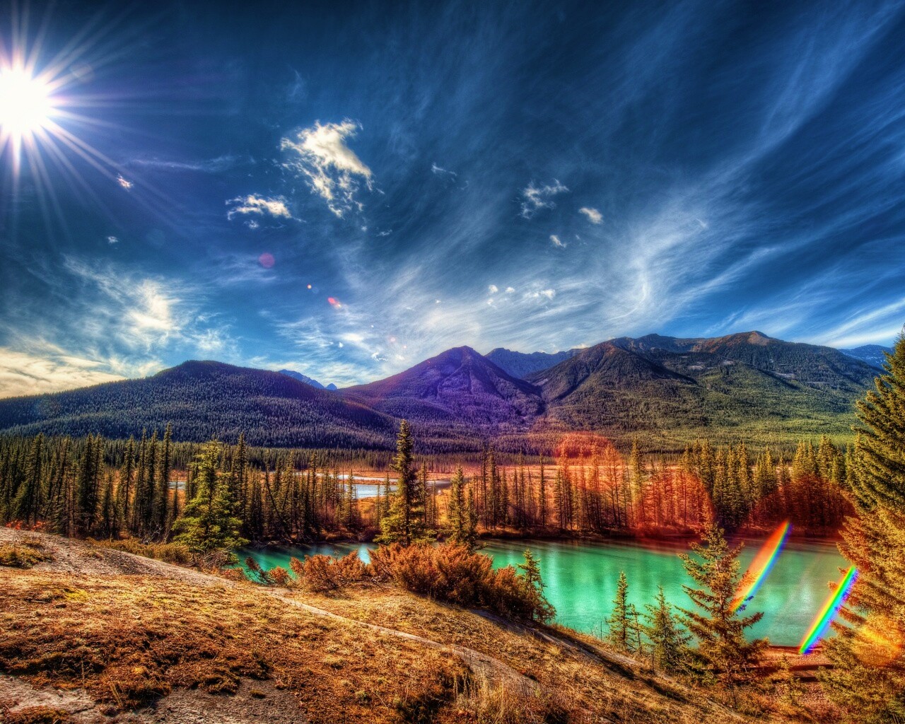 Болотистая местность обои