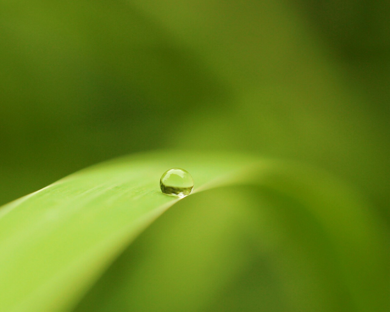 Капелька воды обои