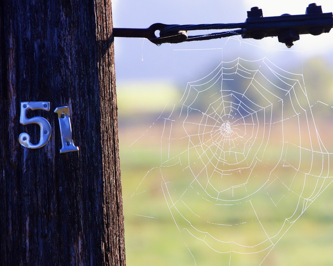 Паутина 51 обои