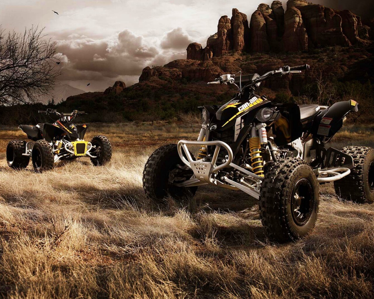 Квадроциклы обои