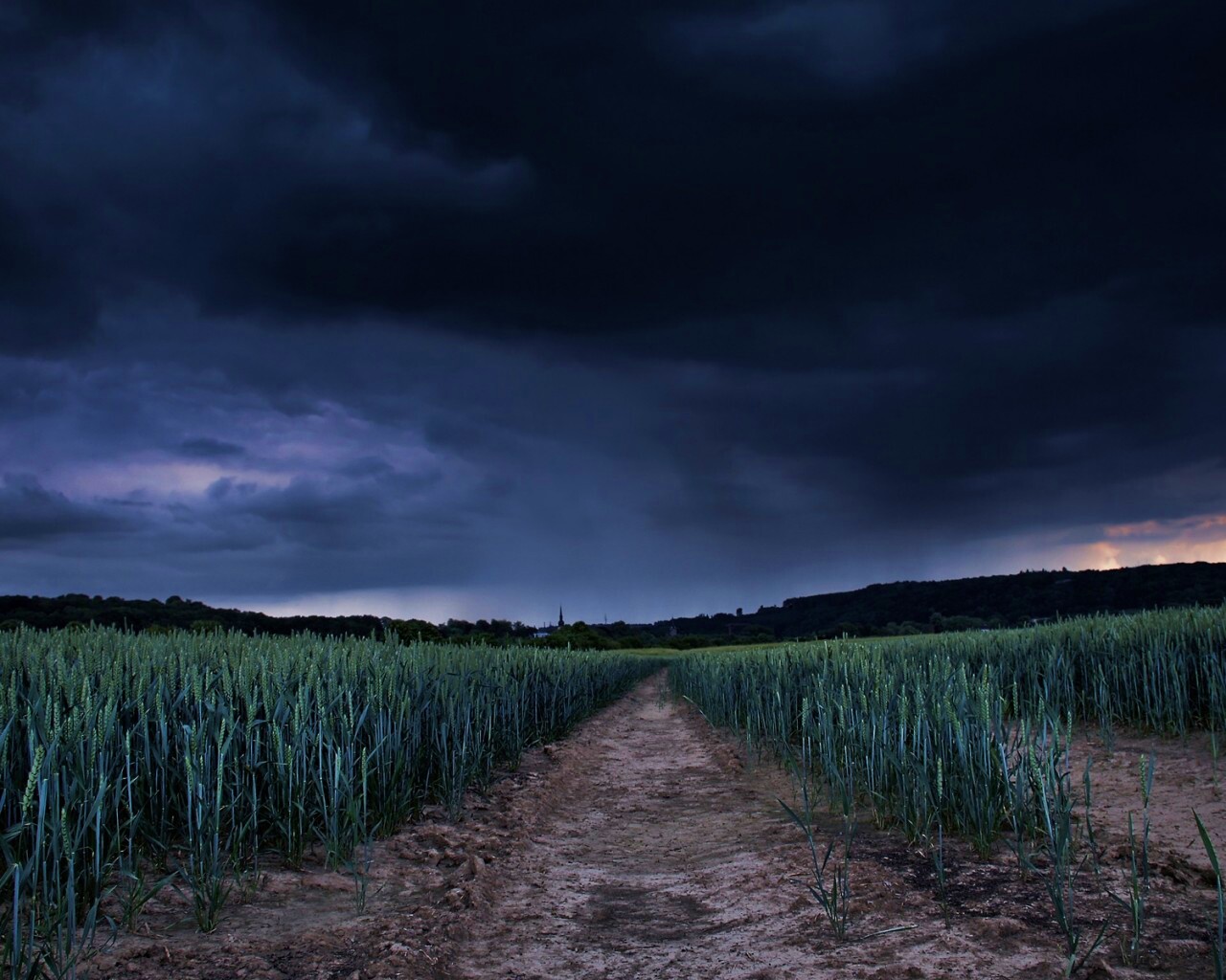 Поле ночью обои