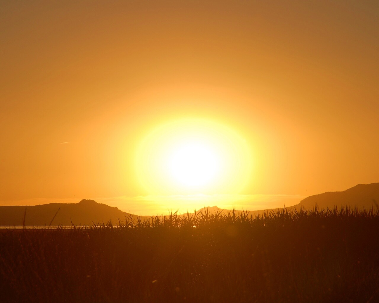 Сельский закат обои