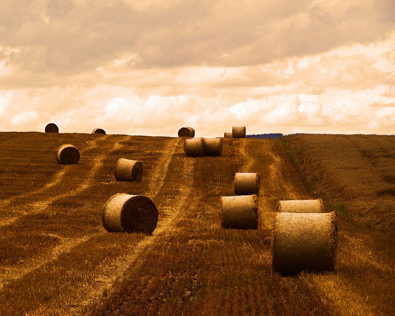 Уборка сена с поля обои