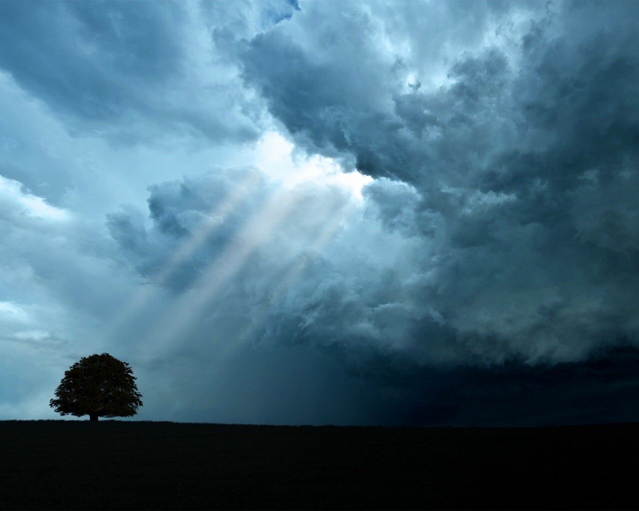 Избранный обои